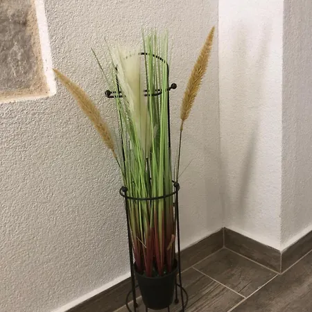 Blue Moon Split- Free Parking